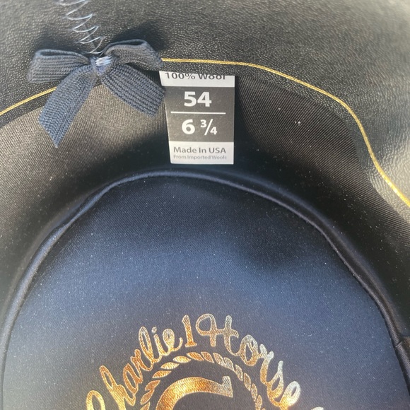 CHARLIE 1 HORSE TATTOOS AND SCARES WOOL HAT - Picture 6 of 7